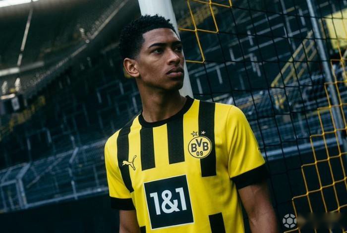 雪上加霜 火箭再输开拓者 伊森受伤