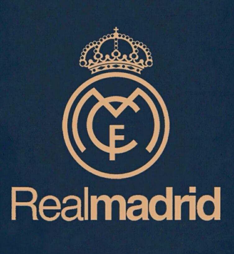 公牛集团涨0.65%，成交额1.35亿元，后市是否有机会？